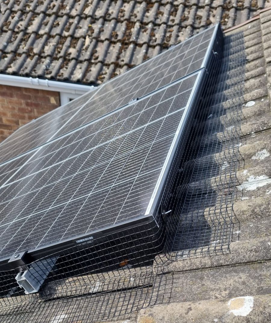Pigeon Proofing Solar Panels in Arnold