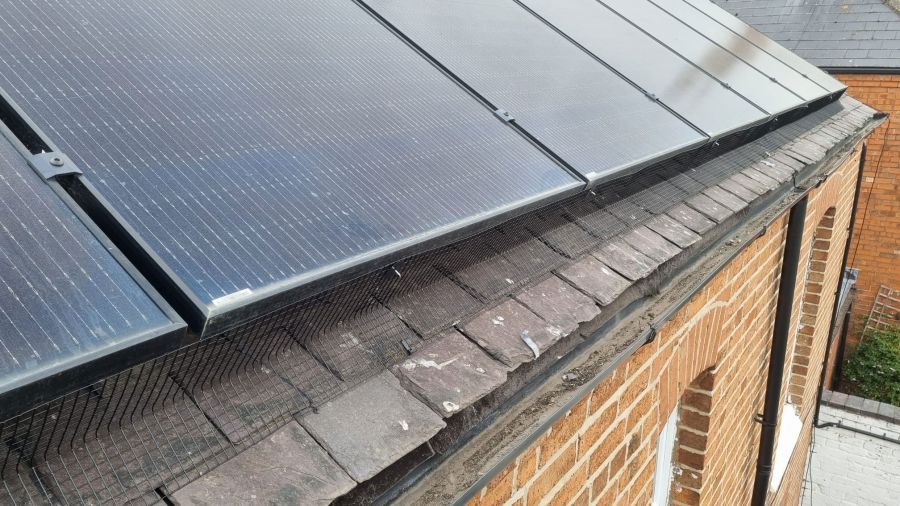 Bingham Solar Panel Protection from Pigeons
