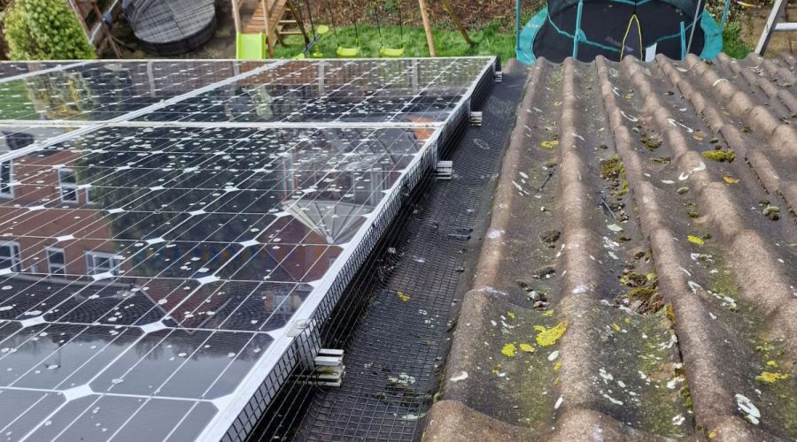 Pigeons Under Solar Panels in Colwick