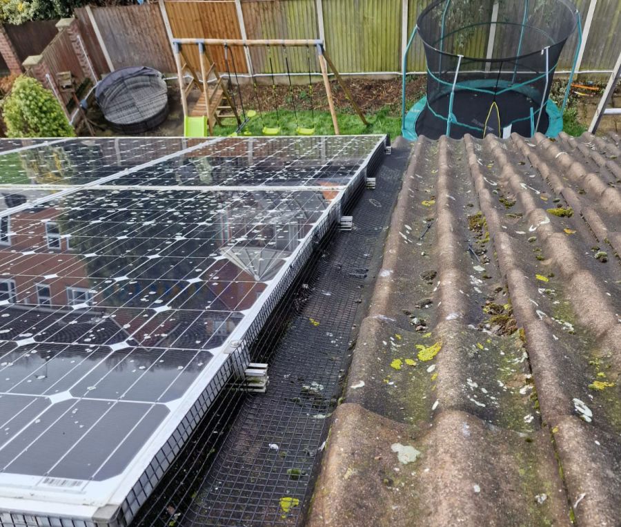 Pigeons Under Solar Panels in Colwick