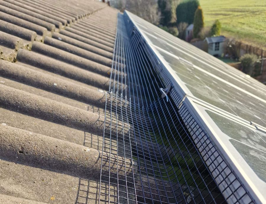 Solar Panel Pigeon Protection in Saxondale