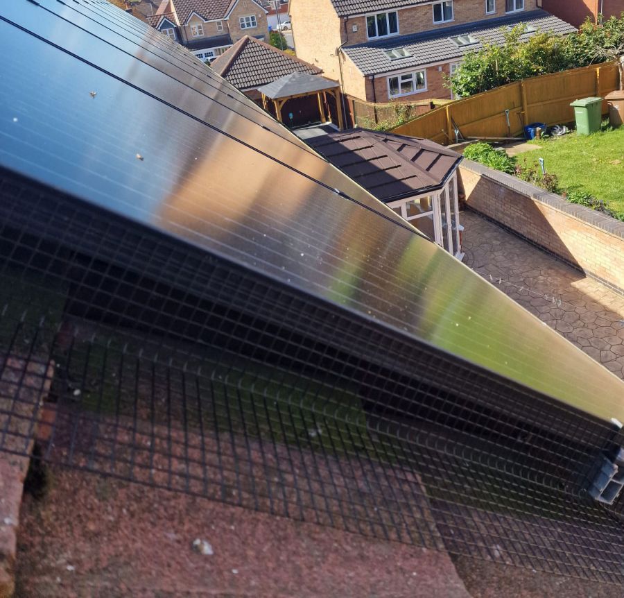 Solar Panel Pigeon Proofing in Littleover