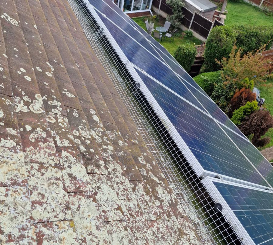 Pigeon Proofing Solar Panels in Bestwood