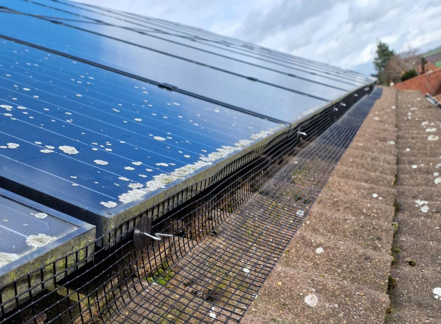 Pigeon Proofing Solar Panels in Bradmore
