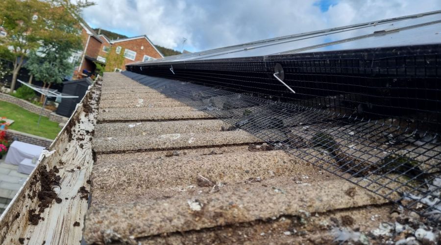 Pigeon Proofing Solar Panels in Hucknall