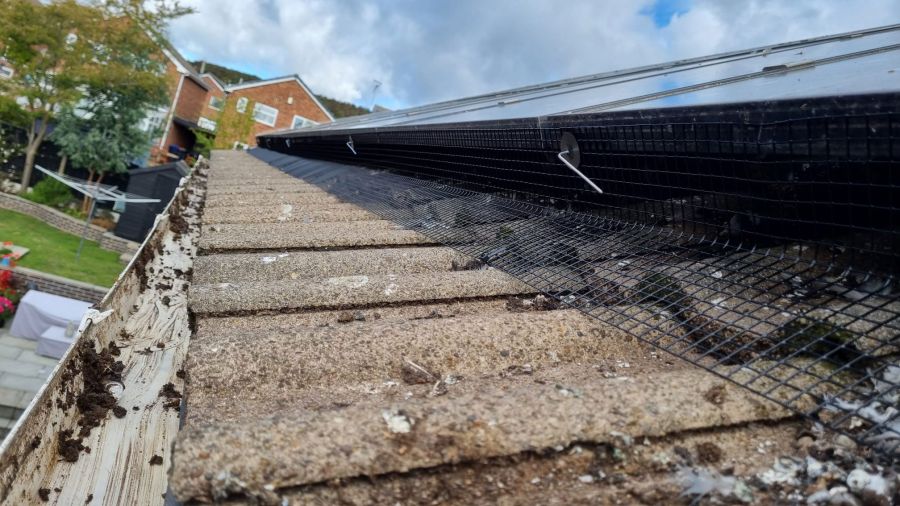 Pigeon Proofing Solar Panels in Hucknall