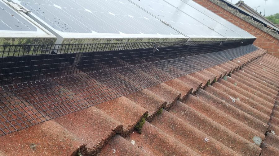 Pigeon Proofing Solar Panels in Leicester