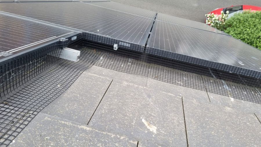 Pigeon Proofing Solar Panels in Mansfield Woodhouse
