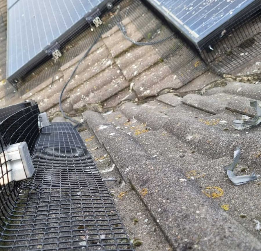 Pigeon Proofing in West Bridgford