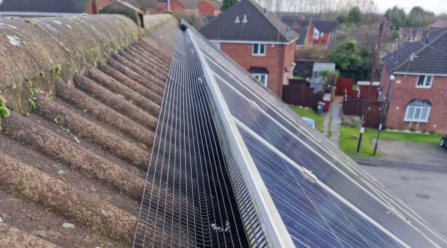 Pigeon Proofing Solar Panels in South Normanton