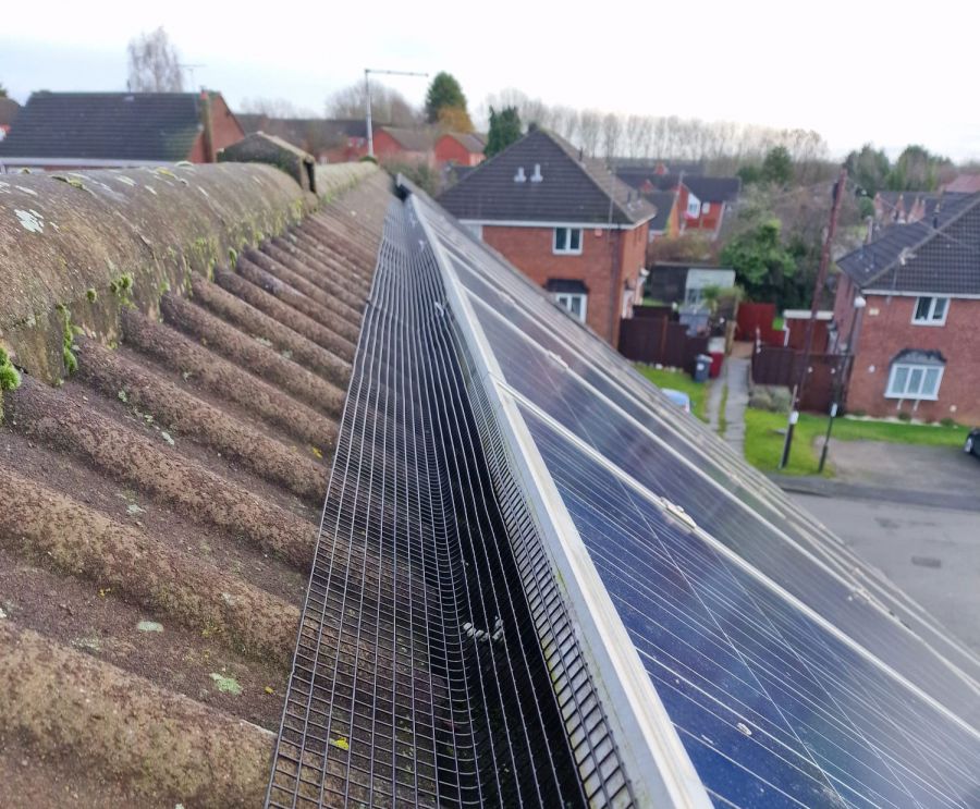 Pigeon Proofing Solar Panels in South Normanton