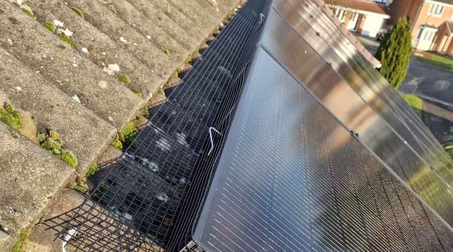 More Solar Panels Pigeon Proofed in Bramcote