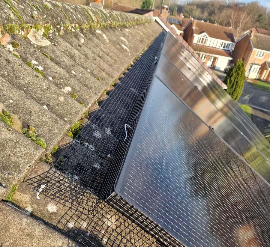 More Solar Panels Pigeon Proofed in Bramcote