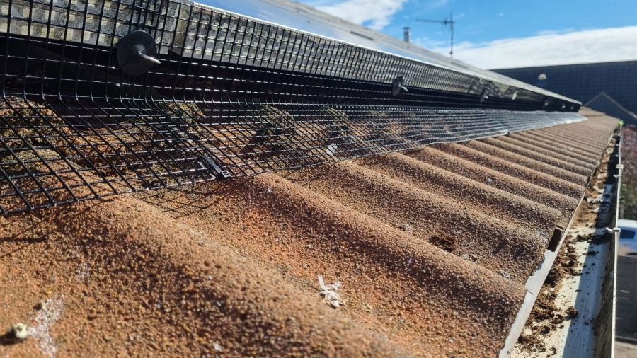 Pigeon Proofing Solar Panels in West Bridgford