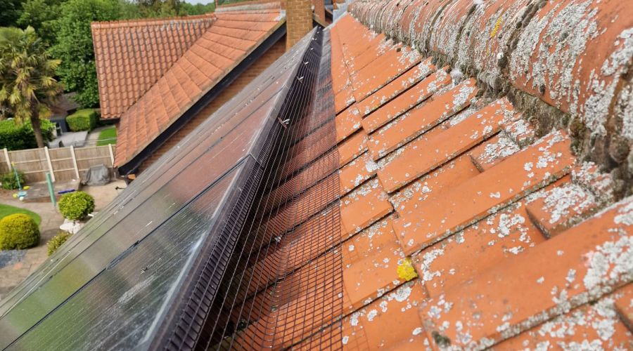 Solar Panel Mesh Installed in Mapperley