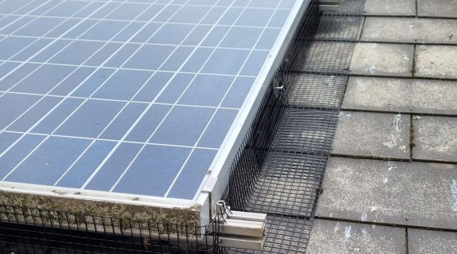 Pigeon Solar Panel Protection in Sherwood