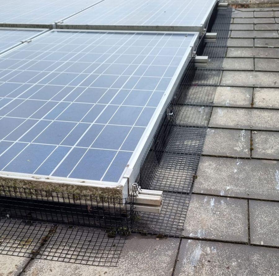 Pigeon Solar Panel Protection in Sherwood