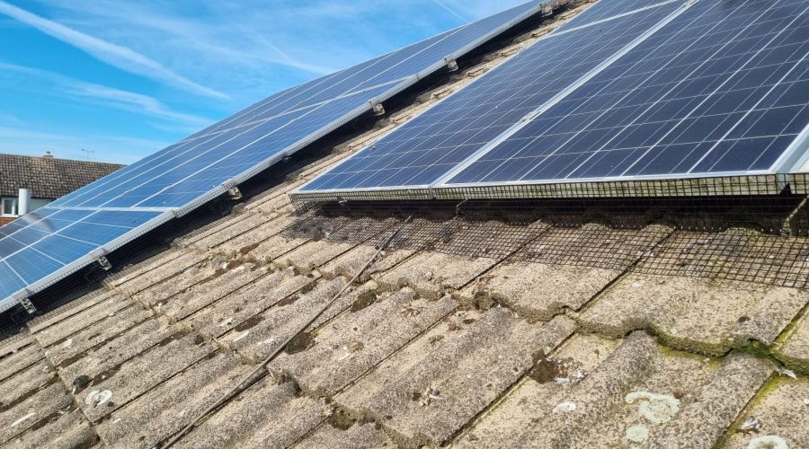 Pigeon Proofing Solar Panels in Beeston x 2
