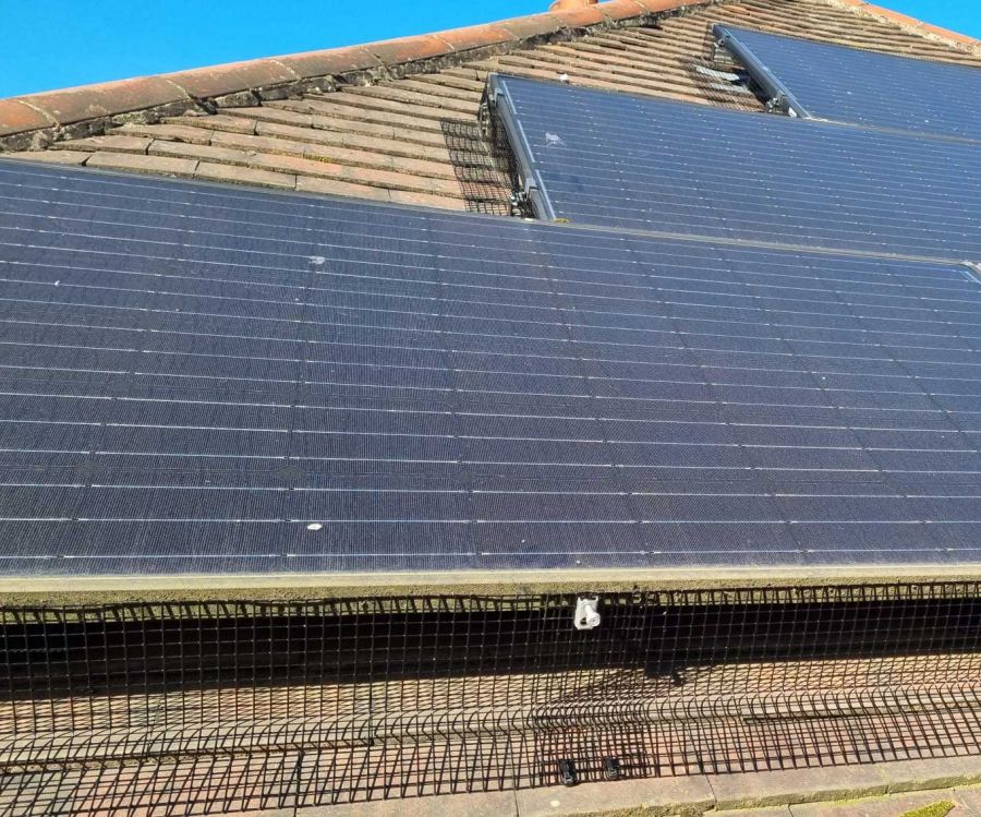 Protecting Solar Panels from Pigeons in Bramcote