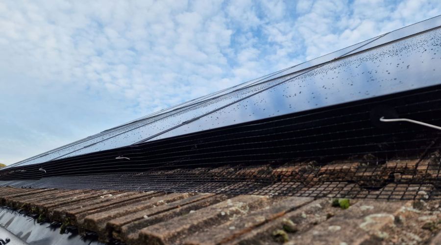 Solar Panels Protected from Pigeons in East Leake