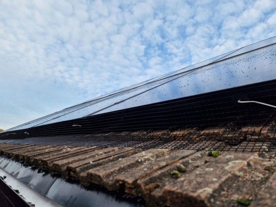 Solar Panels Protected from Pigeons in East Leake