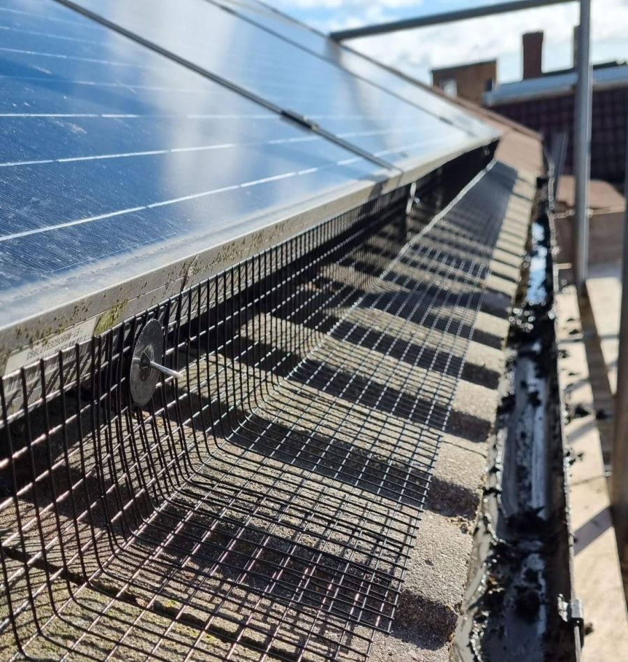 Pigeon Proofing Solar Panels in Leicester