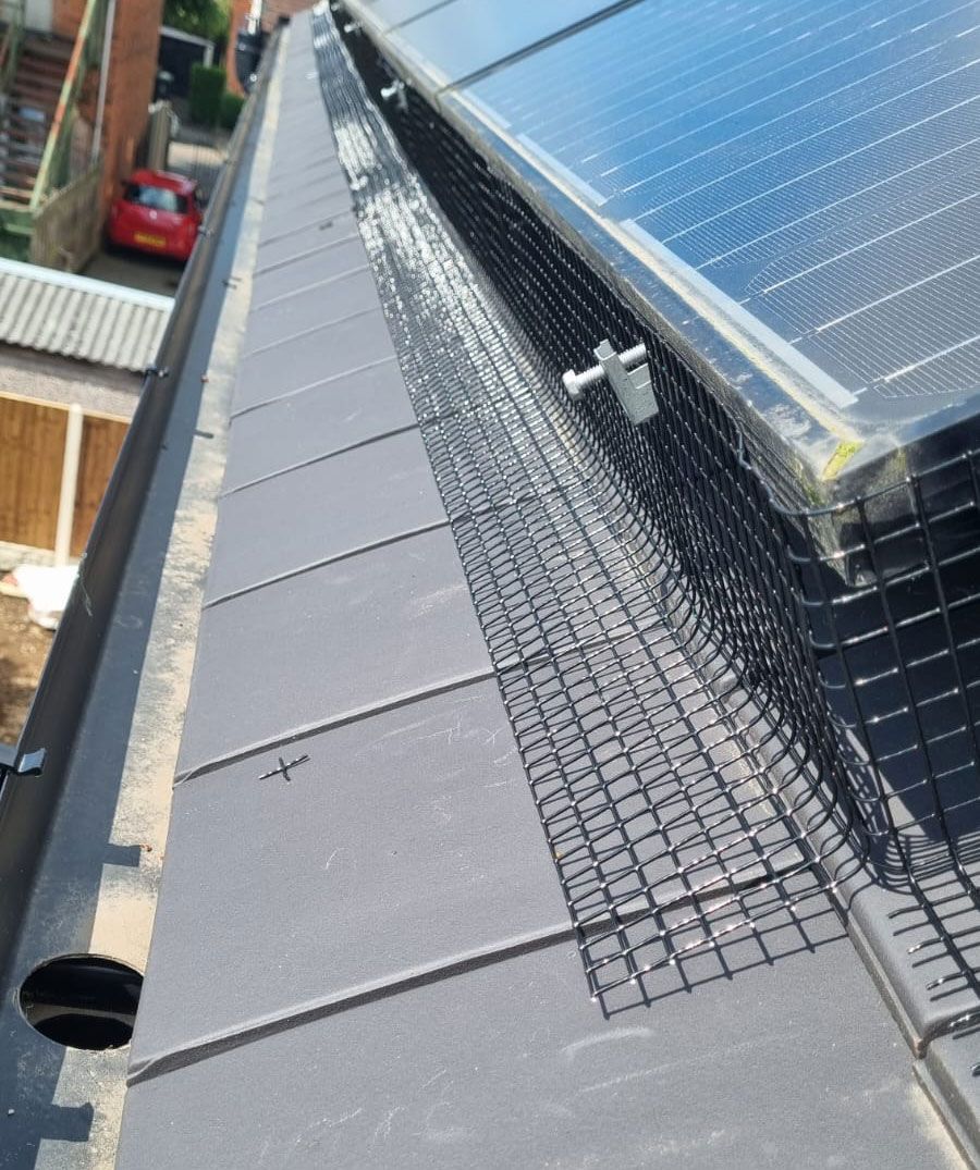 Pigeon Proofing Solar Panels in Beeston