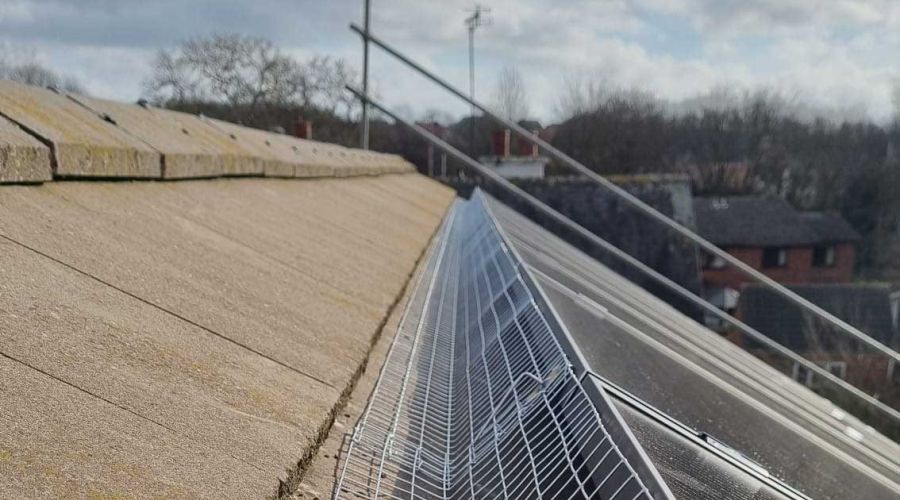 New Solar Panels Attract Pigeons