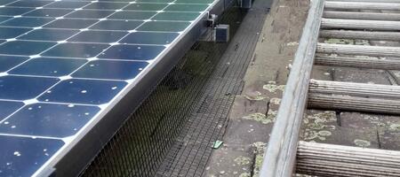 Protecting Solar Panels from Pigeons