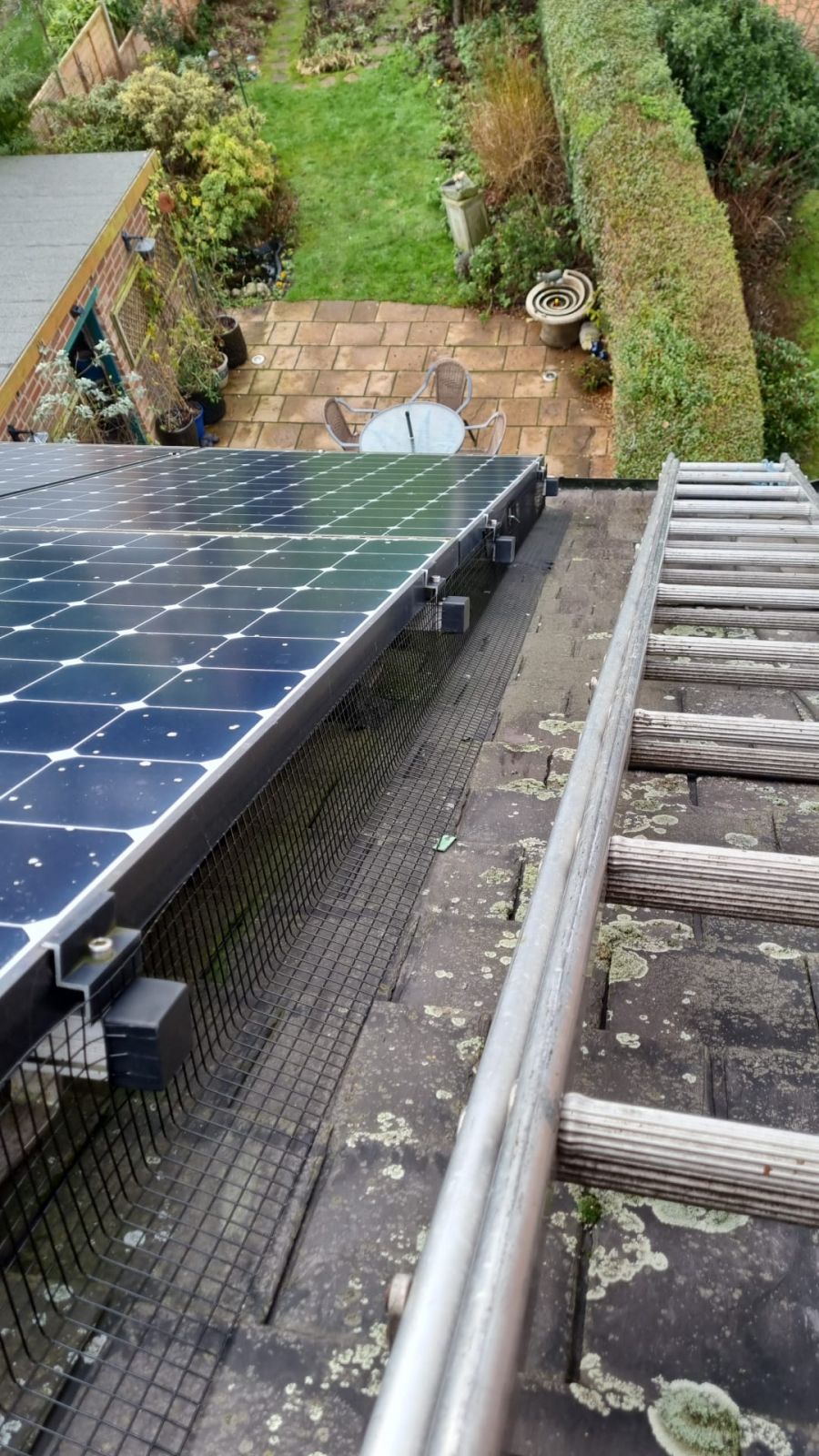 Protecting Solar Panels from Pigeons