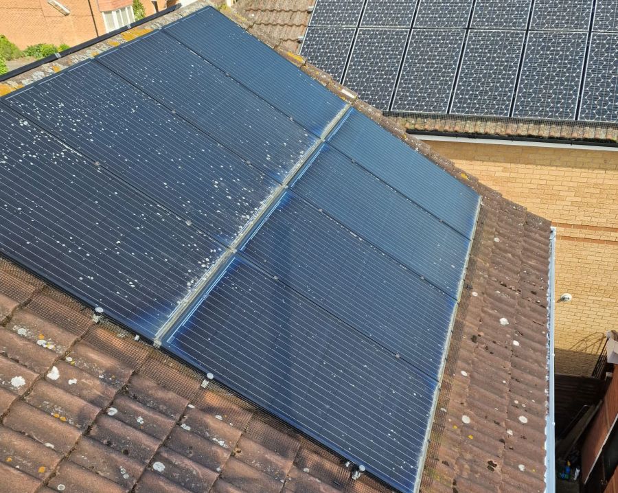 Protecting Solar Panels from Pigeons in West Bridgford