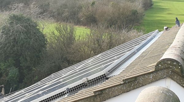 Bird Proofing and Pigeon Netting