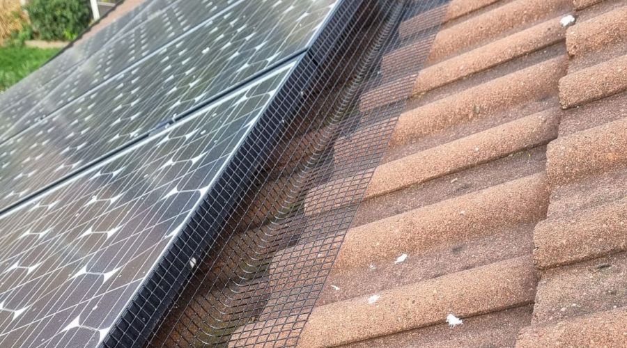 Solar Panel Pigeon Proofing in Colwick