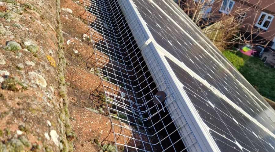 Solar Panel Pigeon Proofing in West Hallam