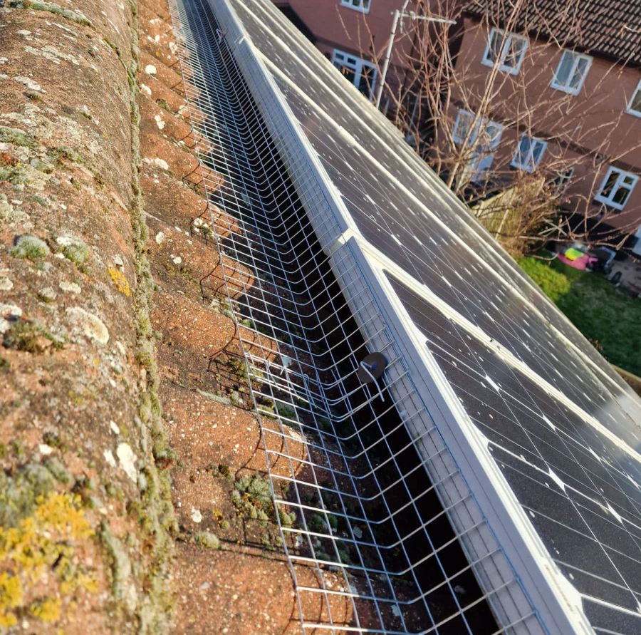 Solar Panel Pigeon Proofing in West Hallam