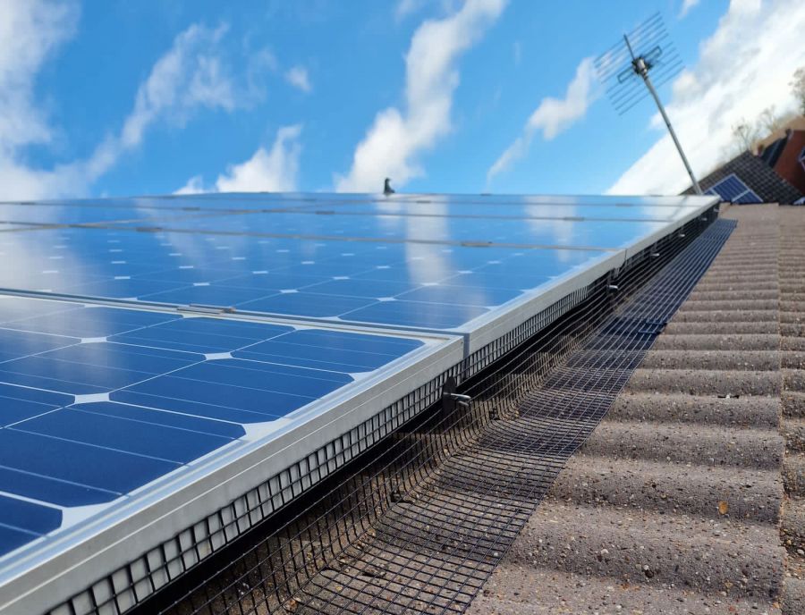 Solar Panel Pigeon Protection in Leicestershire