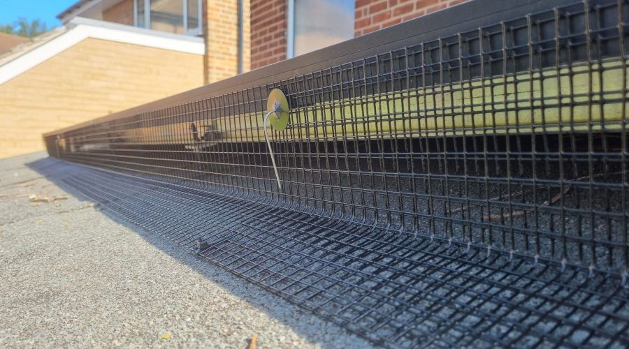 Bird Proofing Solar Panels in Redhill