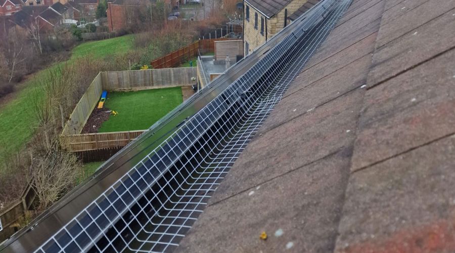 Solar Panel Pigeon Proofing in Sheffield