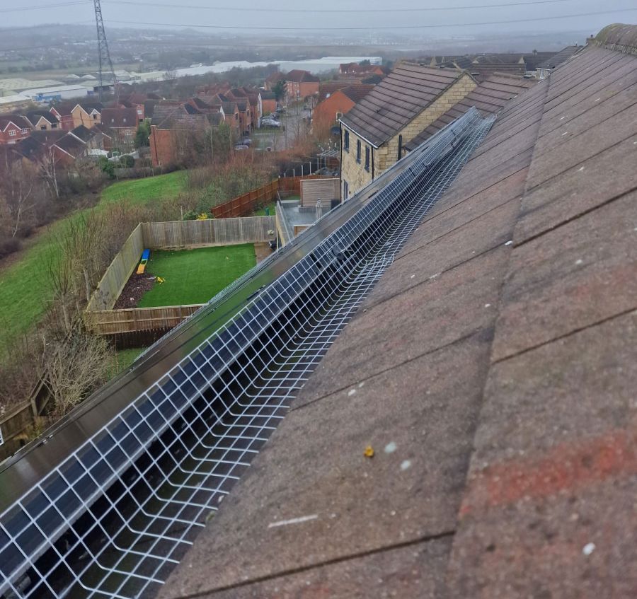 Solar Panel Pigeon Proofing in Sheffield