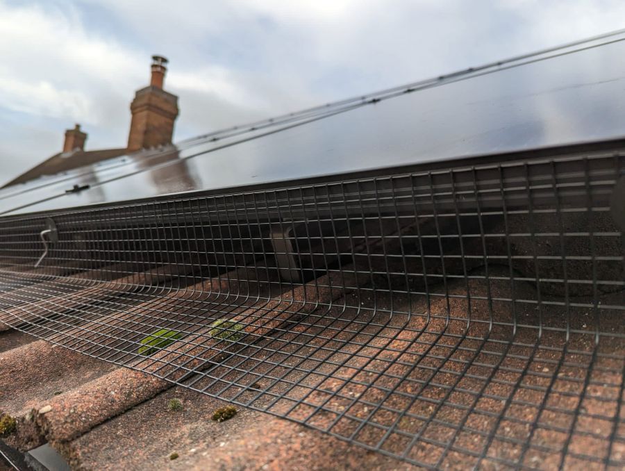 Pigeon Proofing Solar Panels in Mapperley