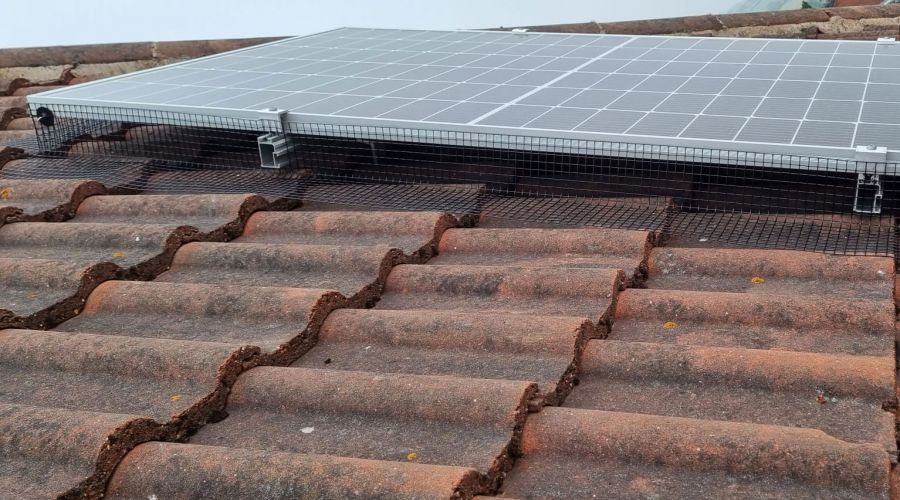 Pigeon Solar Panel Mesh Installed in Jacksdale