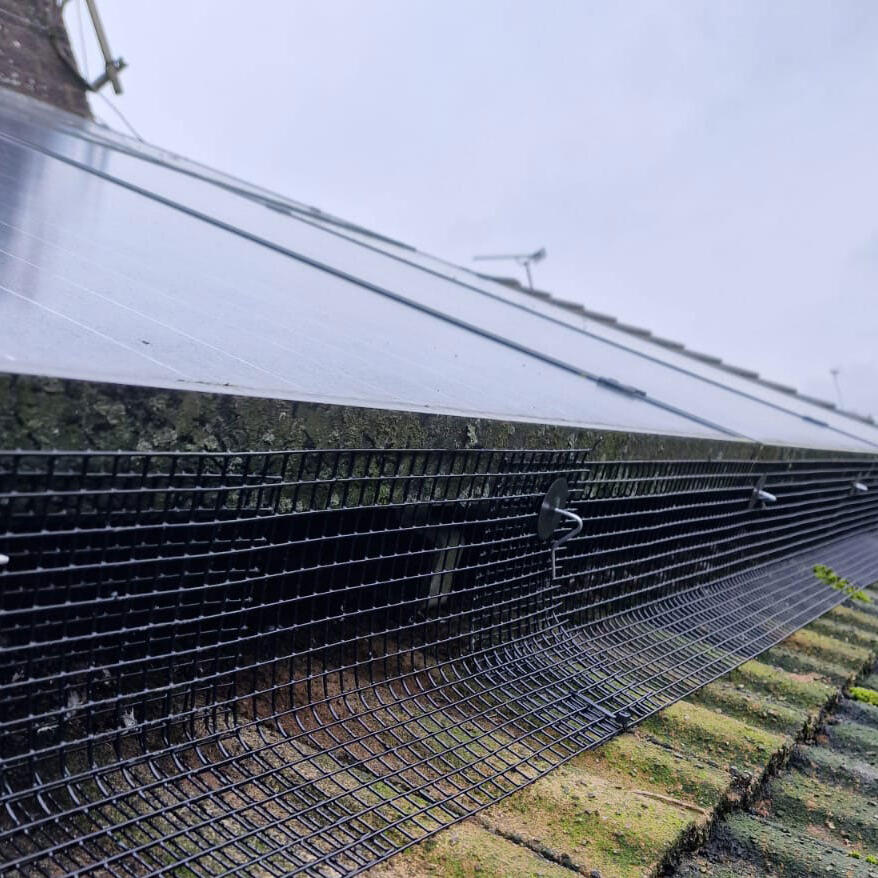 Protecting Solar Panels from Pigeons in Alfreton