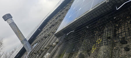 Pigeon Proofing Solar Panels in Allestree