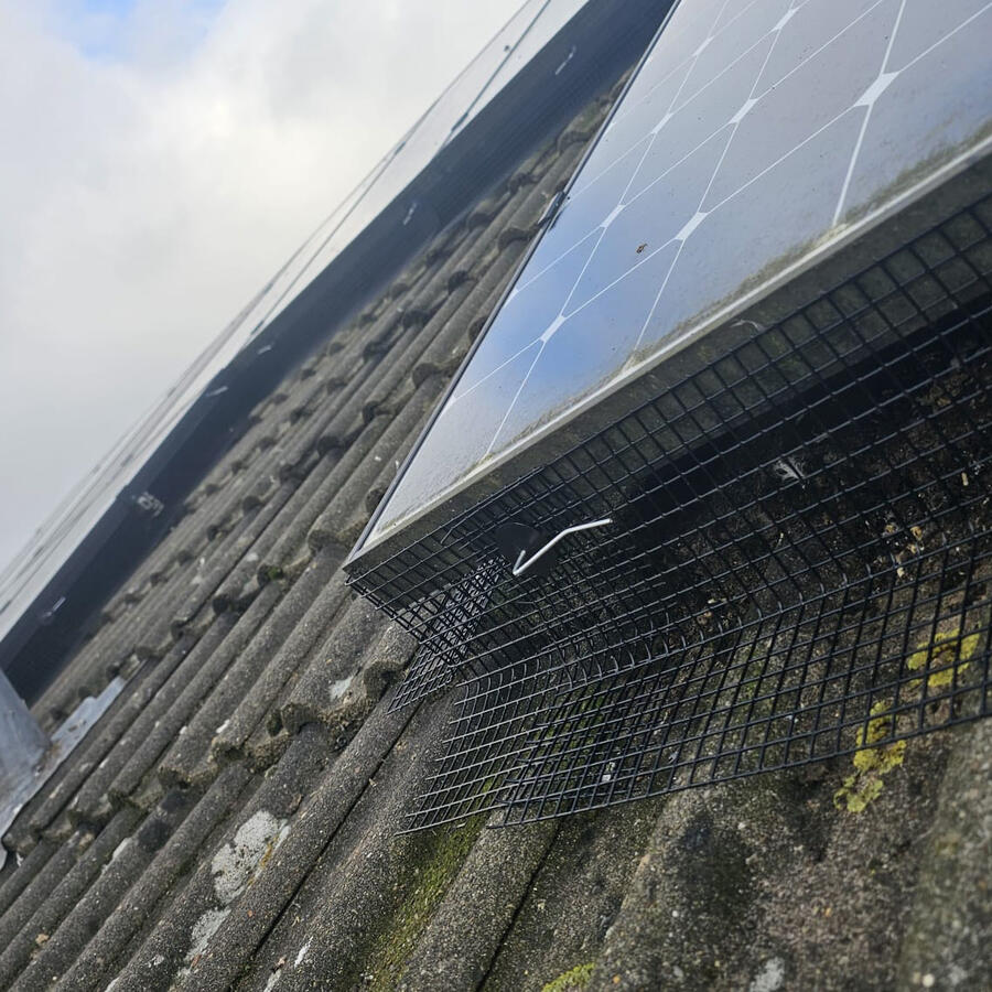 Pigeon Proofing Solar Panels in Allestree