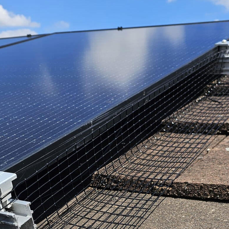 Solar Panels Protected From Pigeons in Arnold