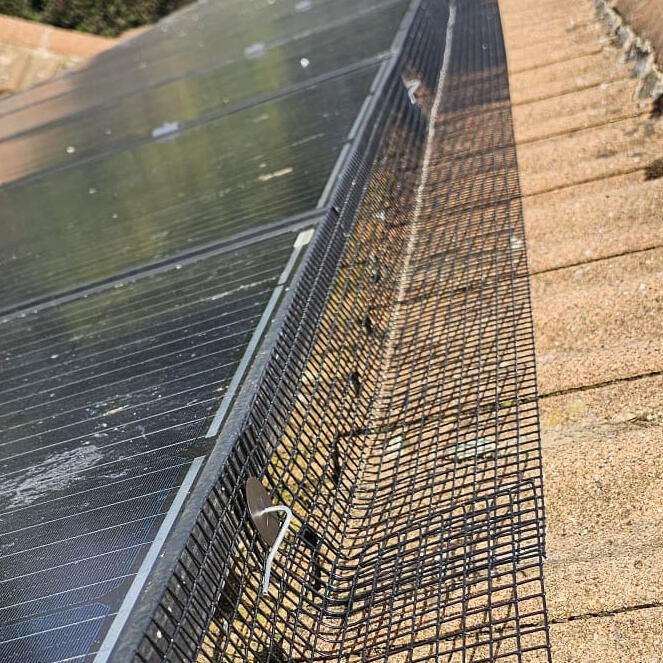 Protect Your Solar Panels - Say Goodbye to Pigeons