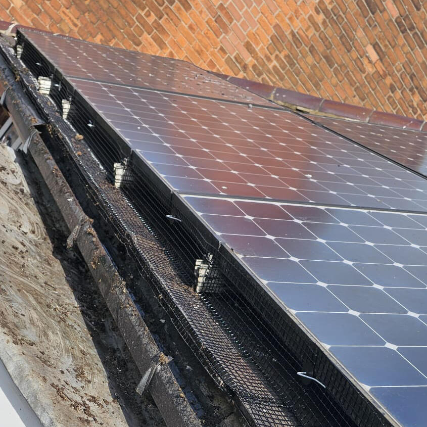 Preventing Pigeons From Nesting Under Solar Panels in Arnold