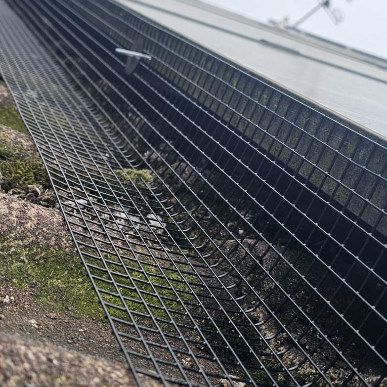 Protecting Solar Panels from Pigeons in Barwell, Leicestershire