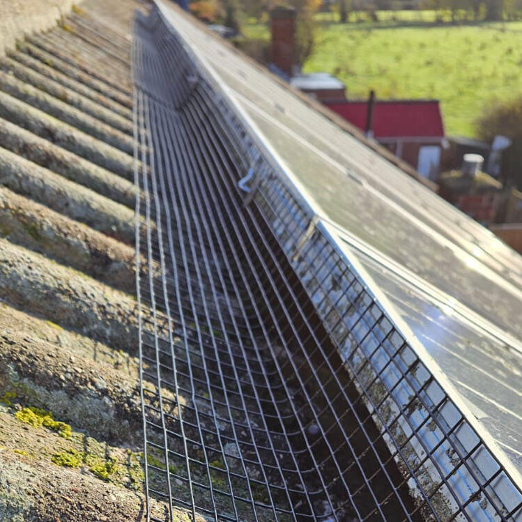 Pigeon Proofing Solar Panels in Bingham