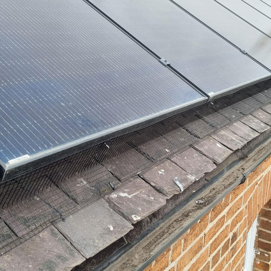 Bingham Solar Panel Protection from Pigeons